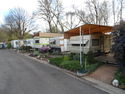 Caravans at Clunes Caravan Park