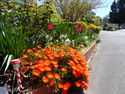 Caravans at Clunes Caravan Park