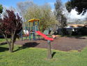 Caravans at Clunes Caravan Park