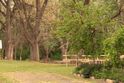 Camping at Clunes Caravan Park